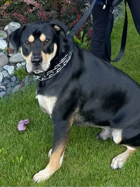 Cooper-square-480x640